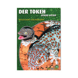 Der Tokeh