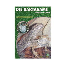 Die Bartagame