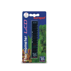 Thermometer LCD Digital Lang