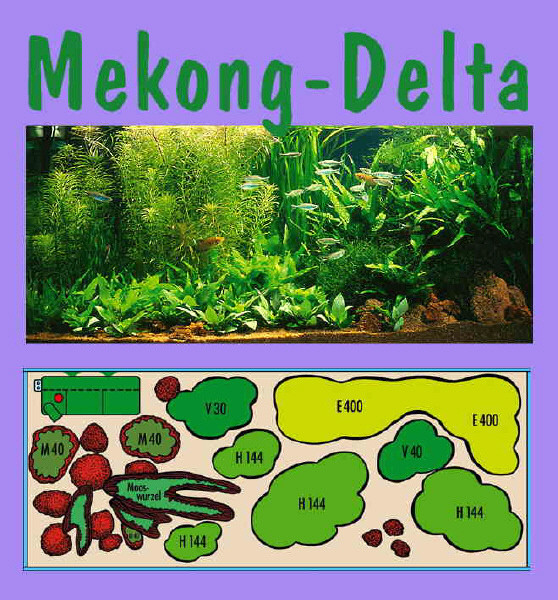 UW Mekong Delta