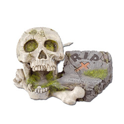 Totenkopf 23x16x13cm