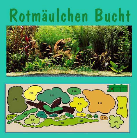 UW Rotmäulchen Bucht