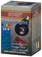 Moonlight 60 Watt