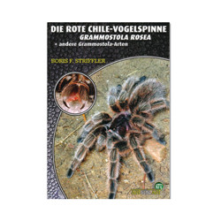 Rote Chile Vogelspinne