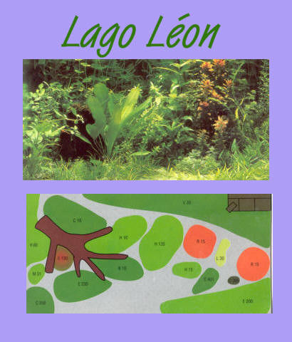 UW Lago Leon