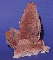 Pflanzkübel Tropicana, klein, rot