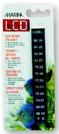 Minerva Thermometer