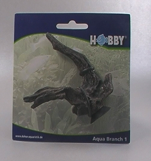 Aqua Branch 1