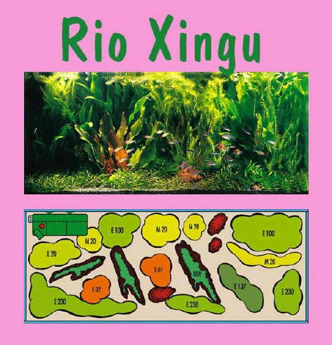 UW Rio Xingu