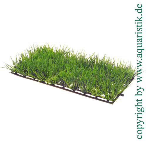 Plant Mat 1