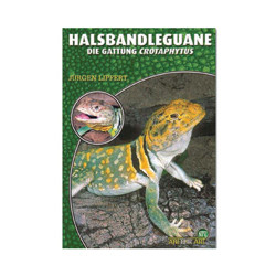 Halsbandleguane