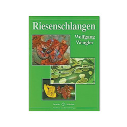 Riesenschlangen NTV