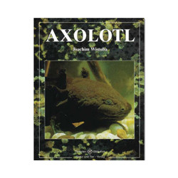 Axolotl NTV