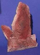 Pflanzkübel Tropicana, groß, rot