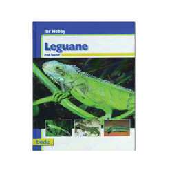 Leguane BEDE